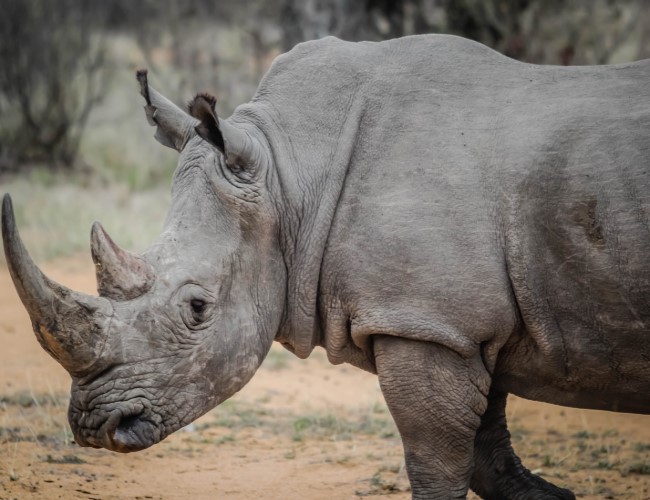 Nsumbu National Park